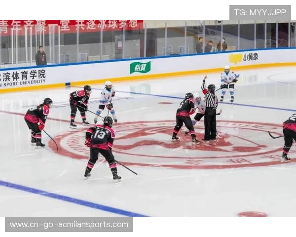 冰球季后赛预测:钢性防守还是快速反击更易取胜?